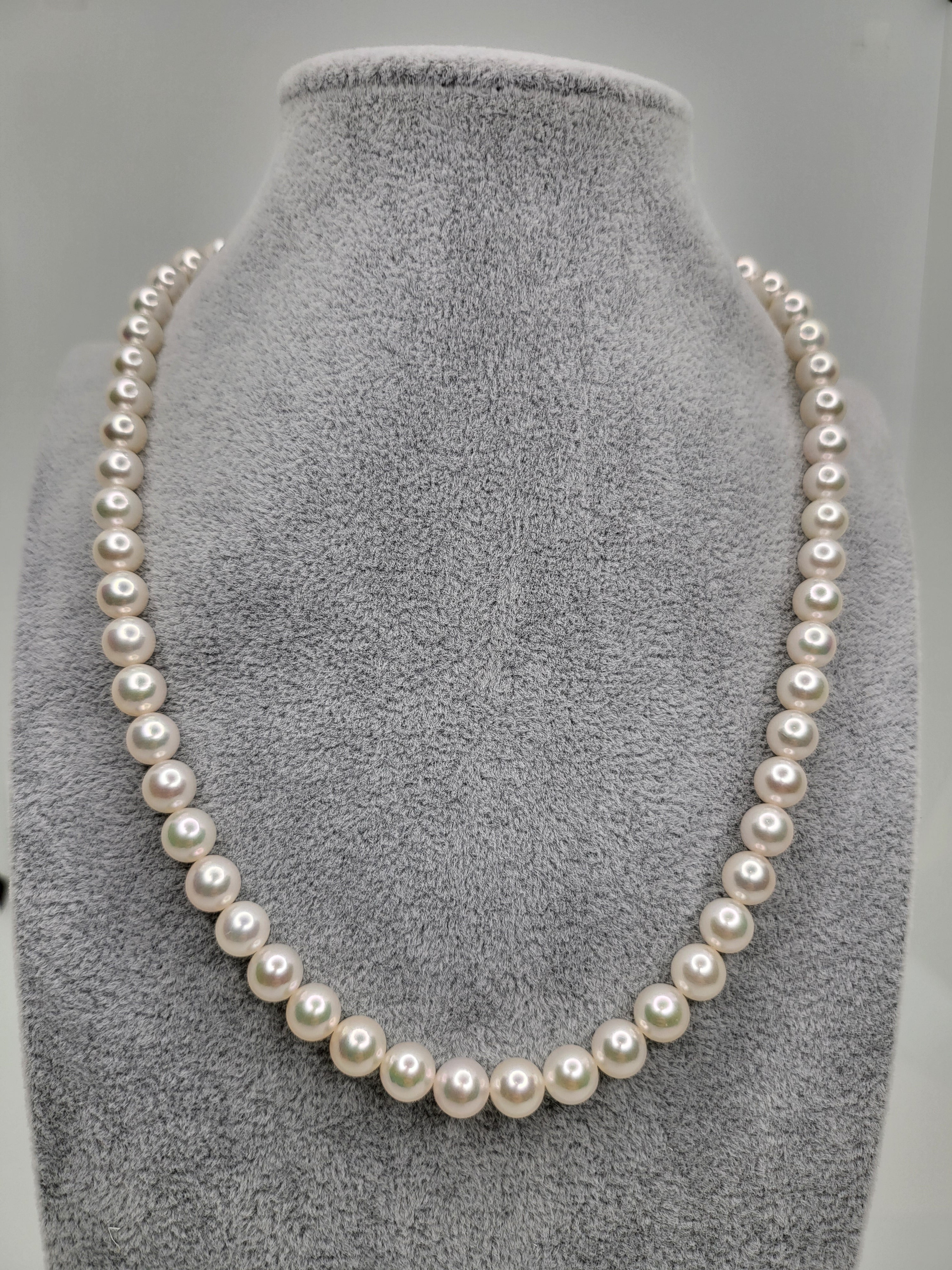 Akoya Pearl Necklace