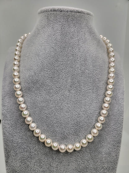 Akoya Pearl Necklace