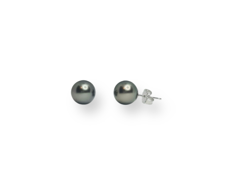 Tahitian Stud Earrings